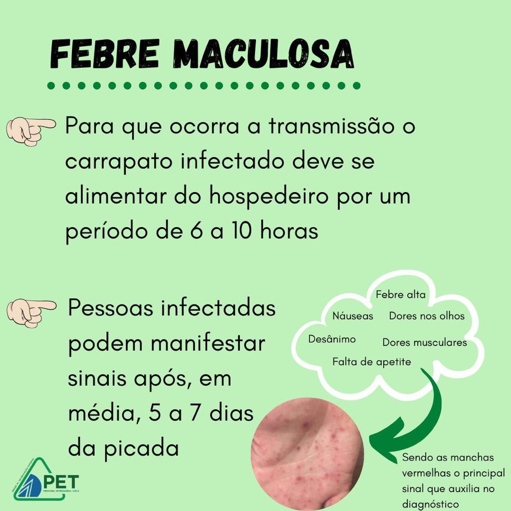 febre maculosa 3