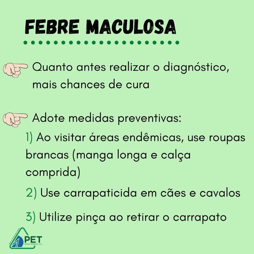 febre maculosa 4