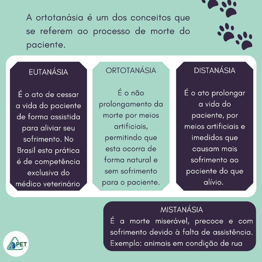 ortotanasia2